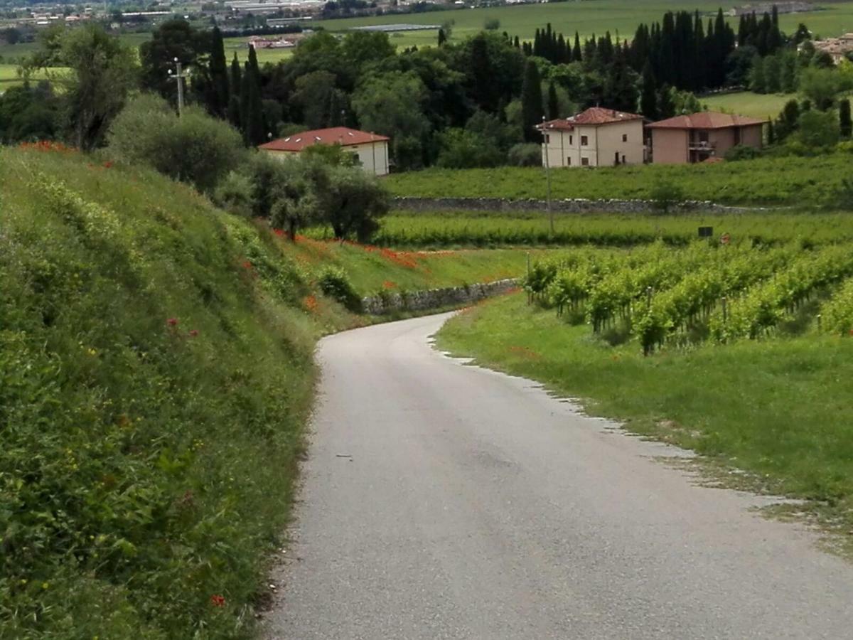 B&B Corte Giare SantʼAmbrogio di Valpolicella Extérieur photo