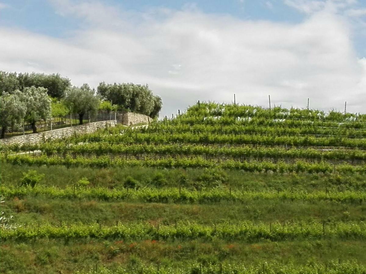 B&B Corte Giare SantʼAmbrogio di Valpolicella Extérieur photo